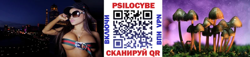 Купить где  Сысерть  Псилоцибиновые грибы мицелий 