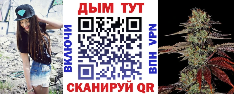 Купить закладки  Сысерть  Бошки марихуана THC 21% 